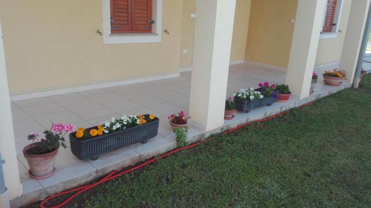 Apartment Barba Liznjan Exterior photo